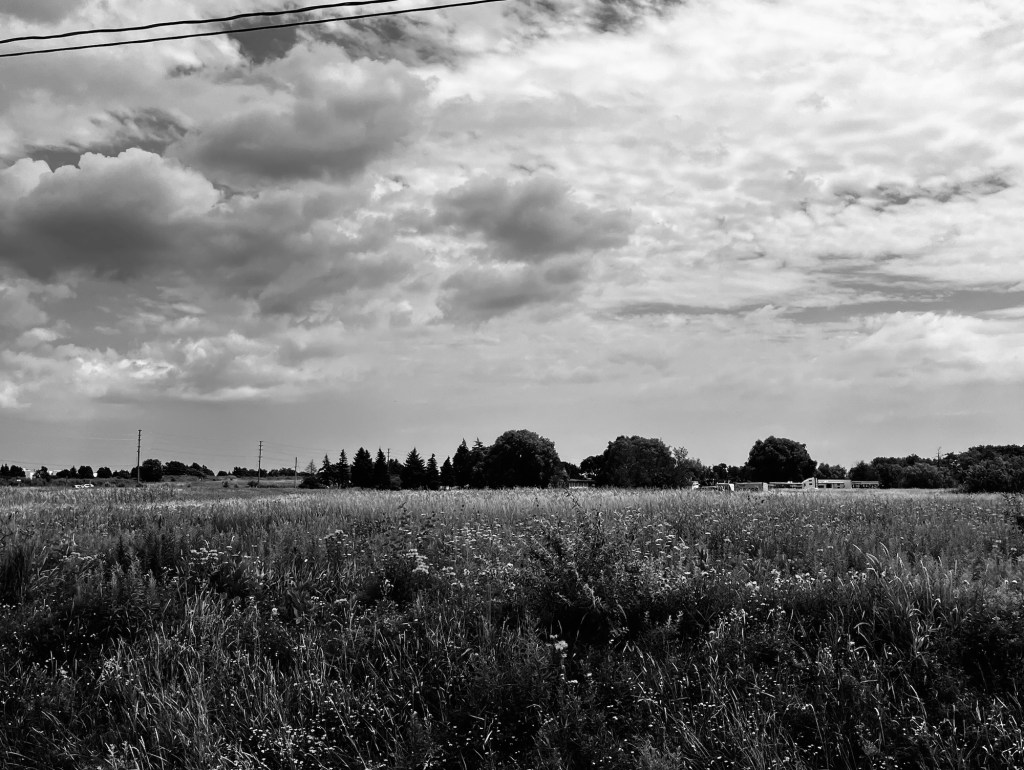 img_4333